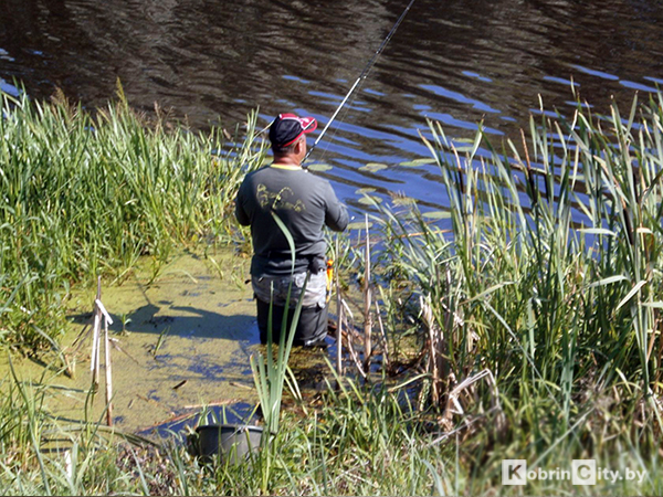 Летом в Беларуси вступают в силу новые правила любительской рыбалки. Чего ждать рыбакам? 